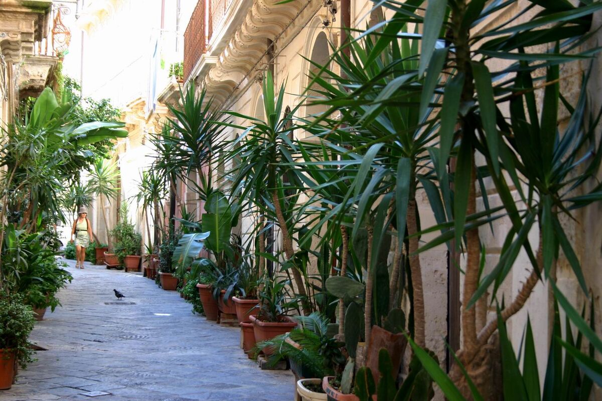giudecca. siracusa 1