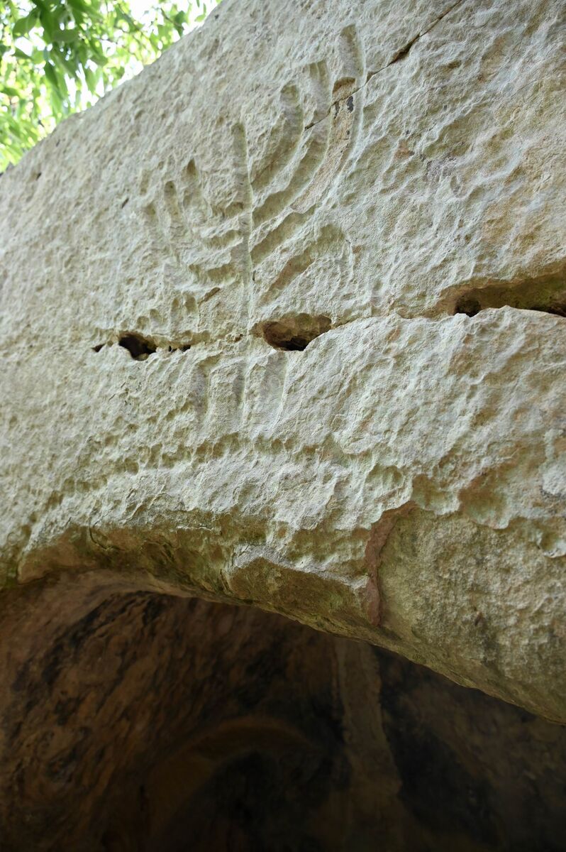 dsc 0139