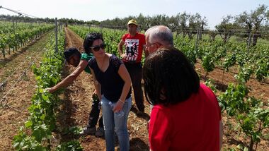 private wine tour from ragusa