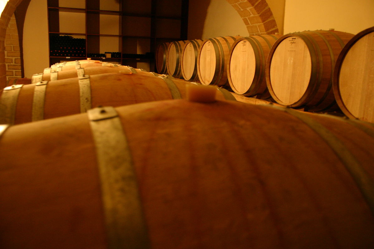 cantina camporeale