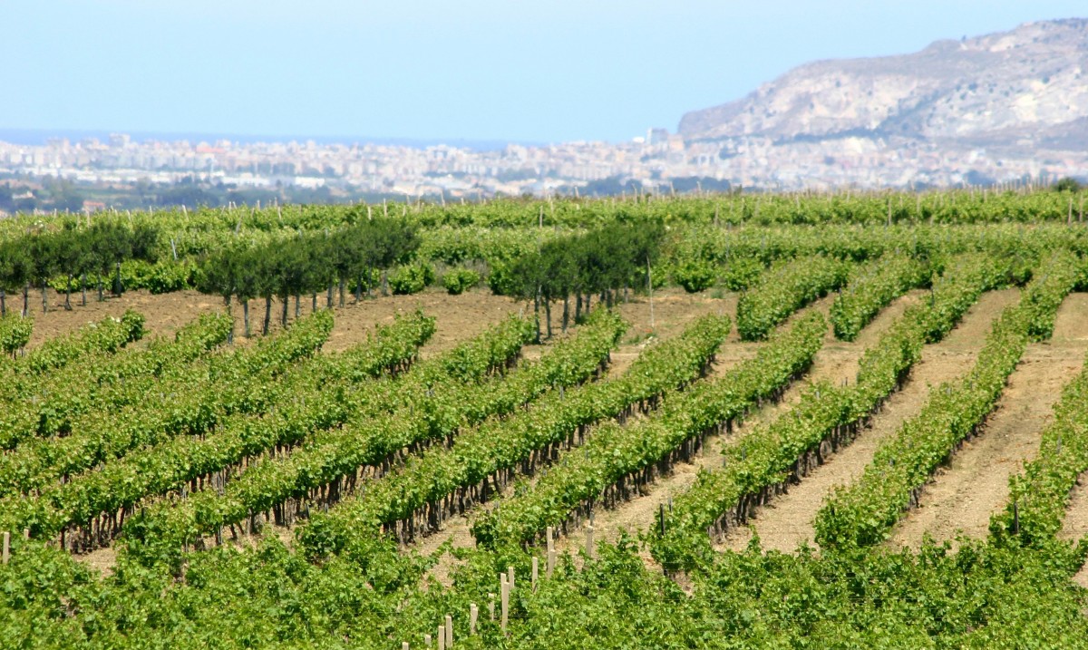 Trapani and its surroundings