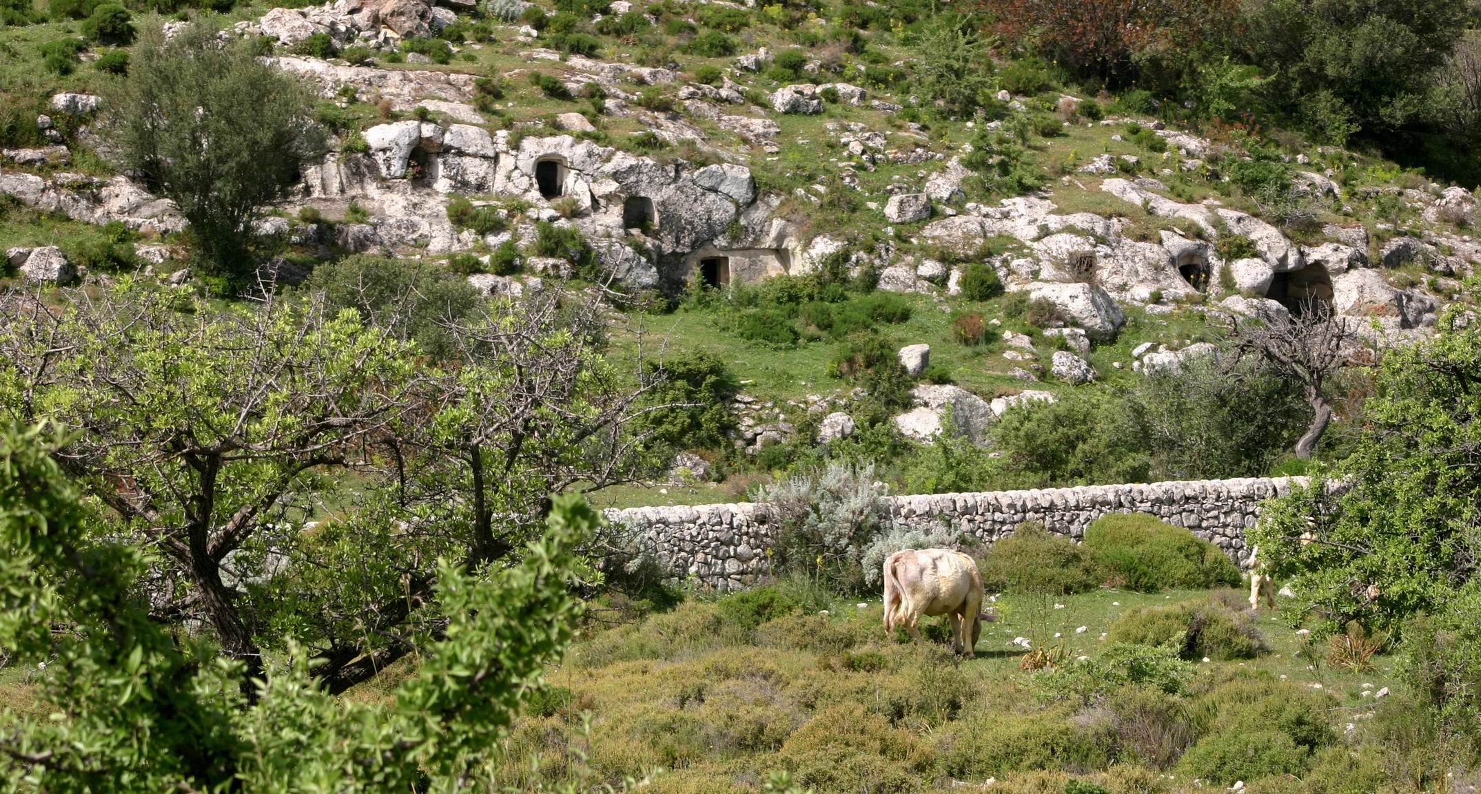 Castelluccio_Necropolis_Noto_Archaeological_Tour.JPG