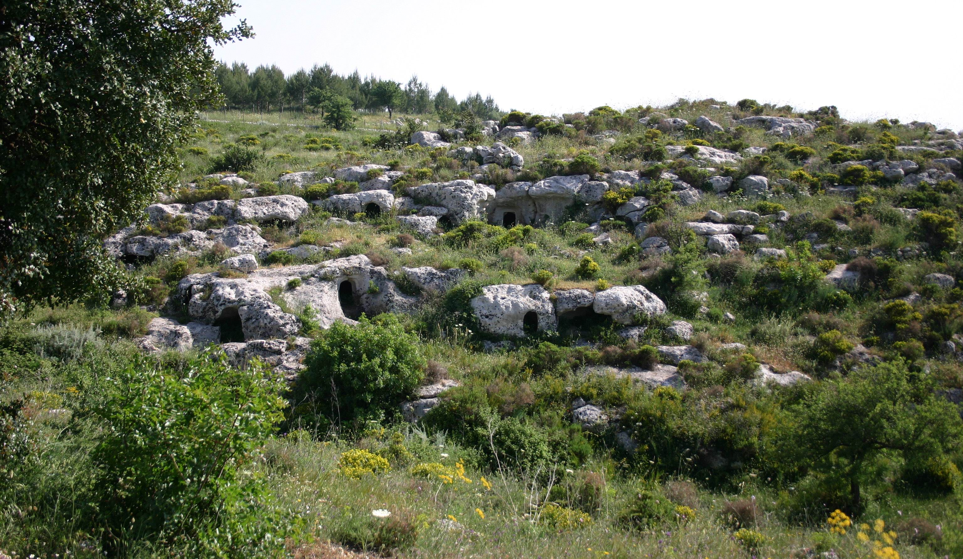 Private_Archaeology_Tour_Noto.JPG