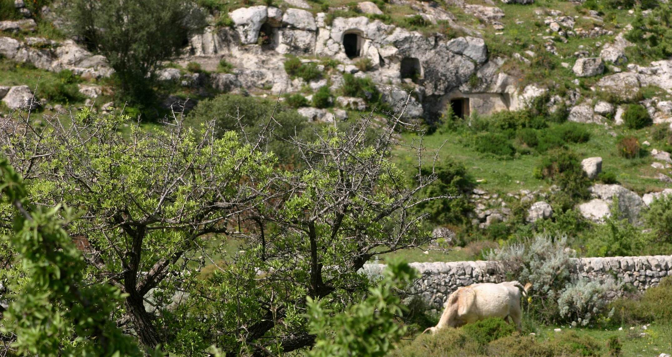 Castelluccio_Necropolis_Sicily_Tour.JPG