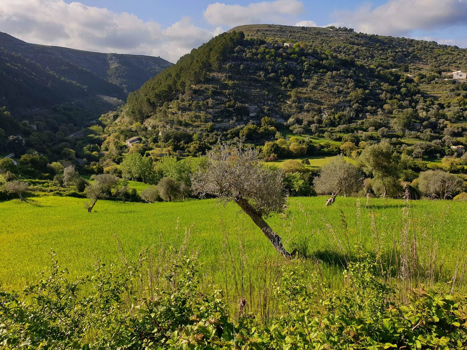 Ragusa_Private_Trekking_Tour.jpg