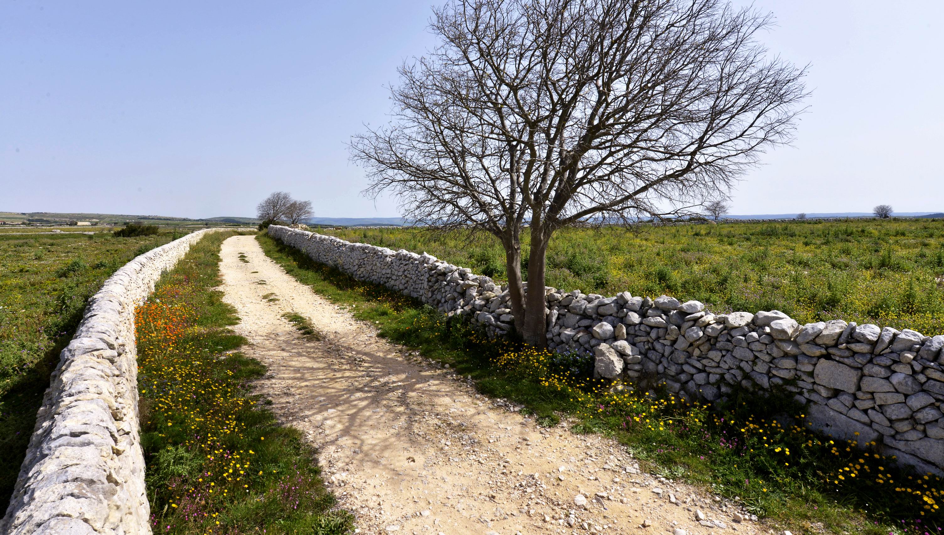 Vallata_Misericordia_Trekking.JPG