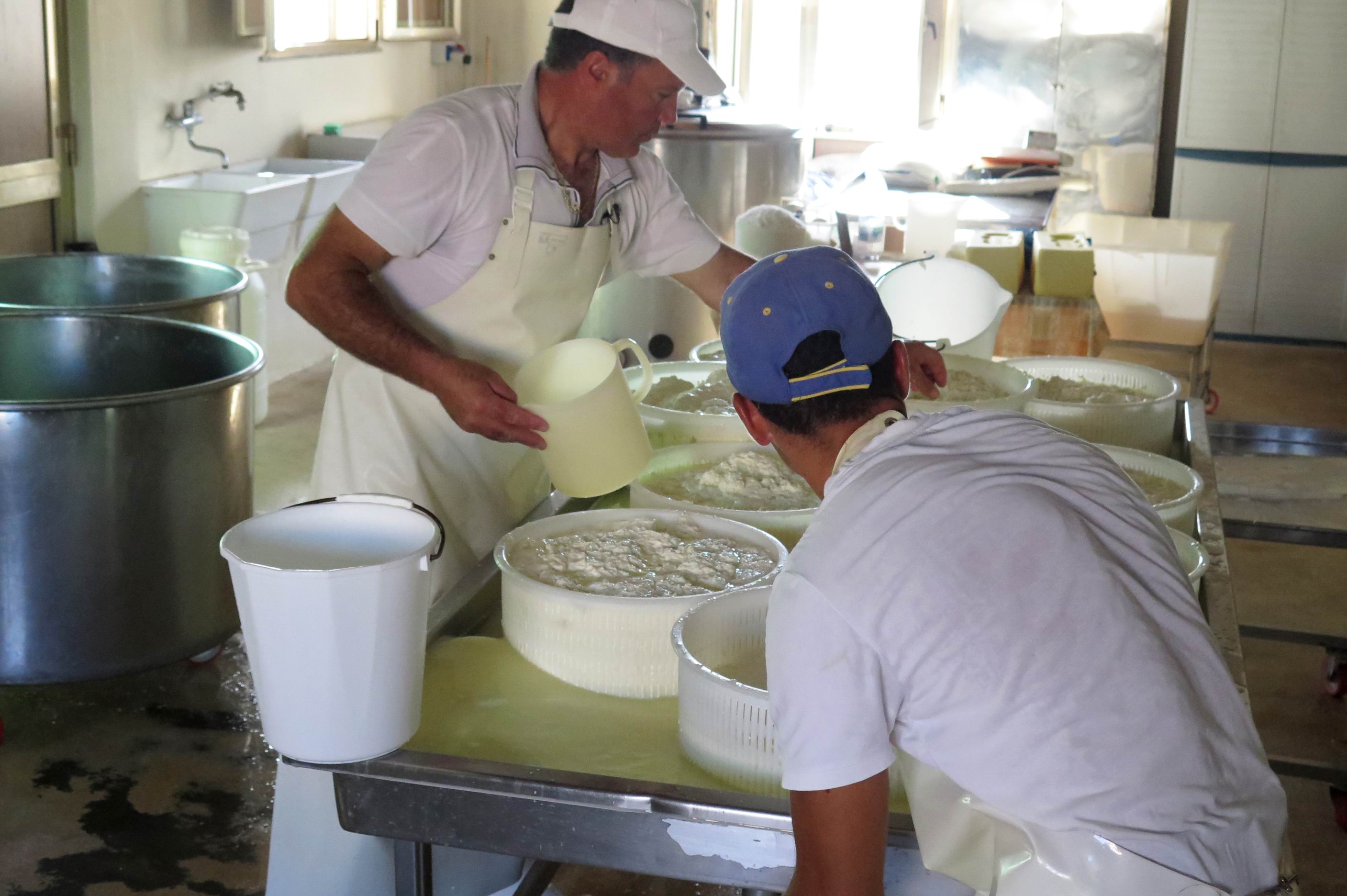 Ricotta_Making_Modica_Tour.JPG