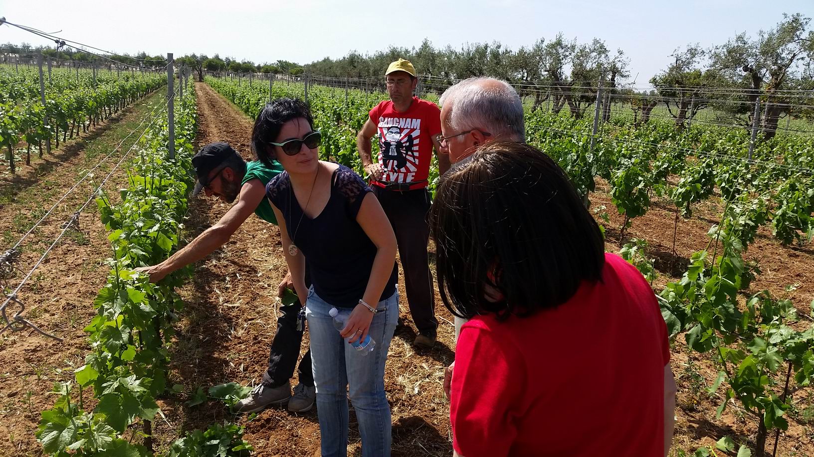 Private_Wine_Tour_from_Ragusa.jpg