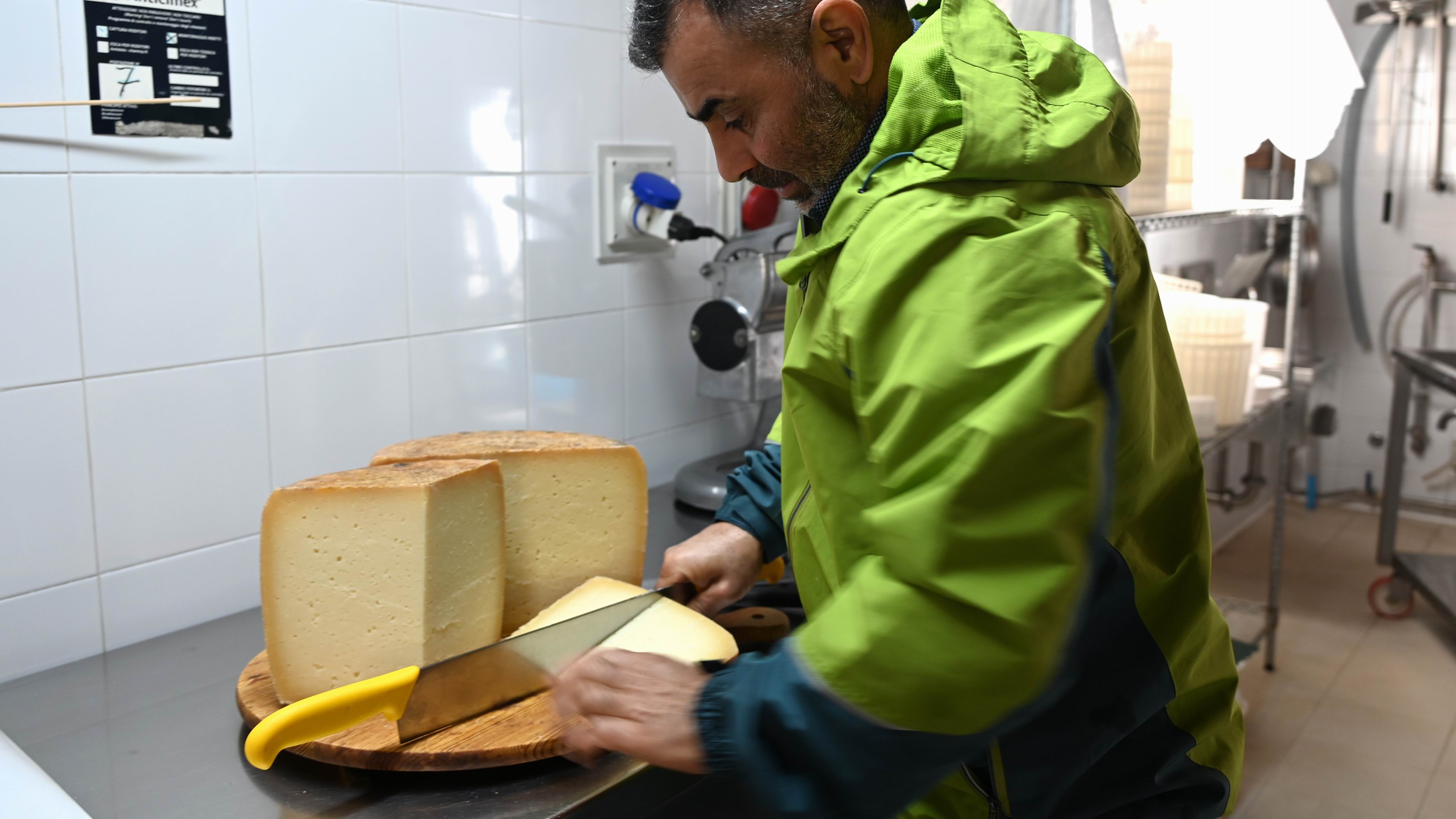 Pecorino_Cheese_Tasting_Tour_with_visit_to_Farm.JPG
