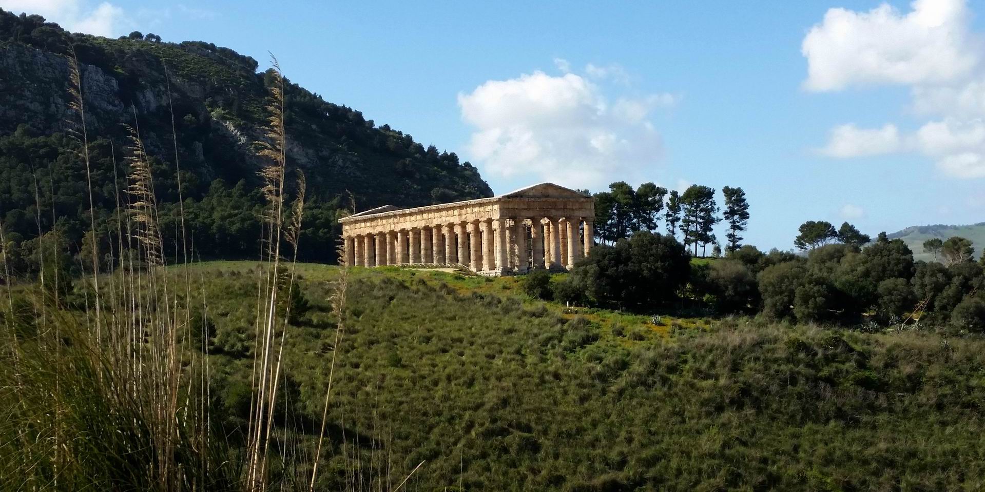 Segesta_Temple_Private_Guided_Tour.jpg