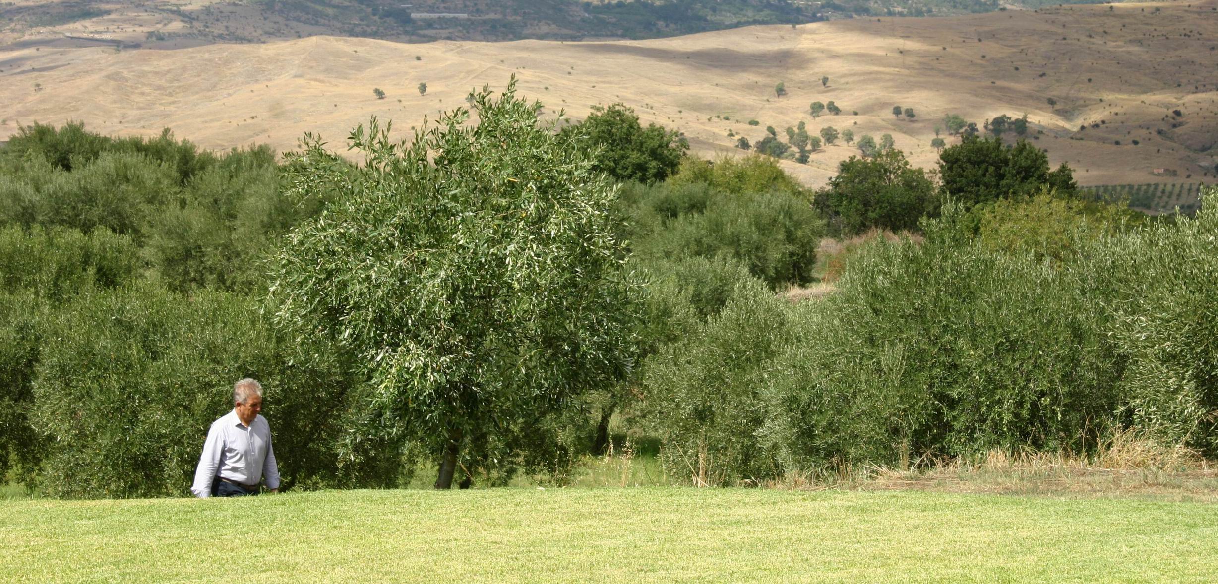 Etna_Private_Food_Tour.JPG