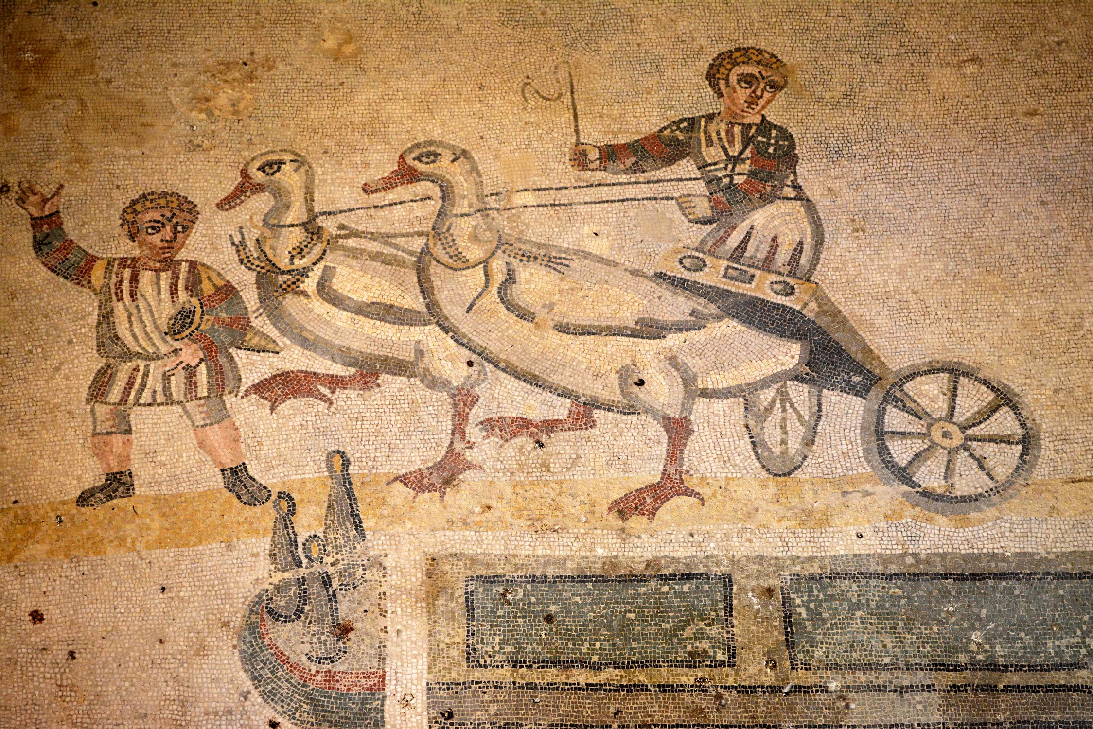 BirdChariotRace.jpg.JPG