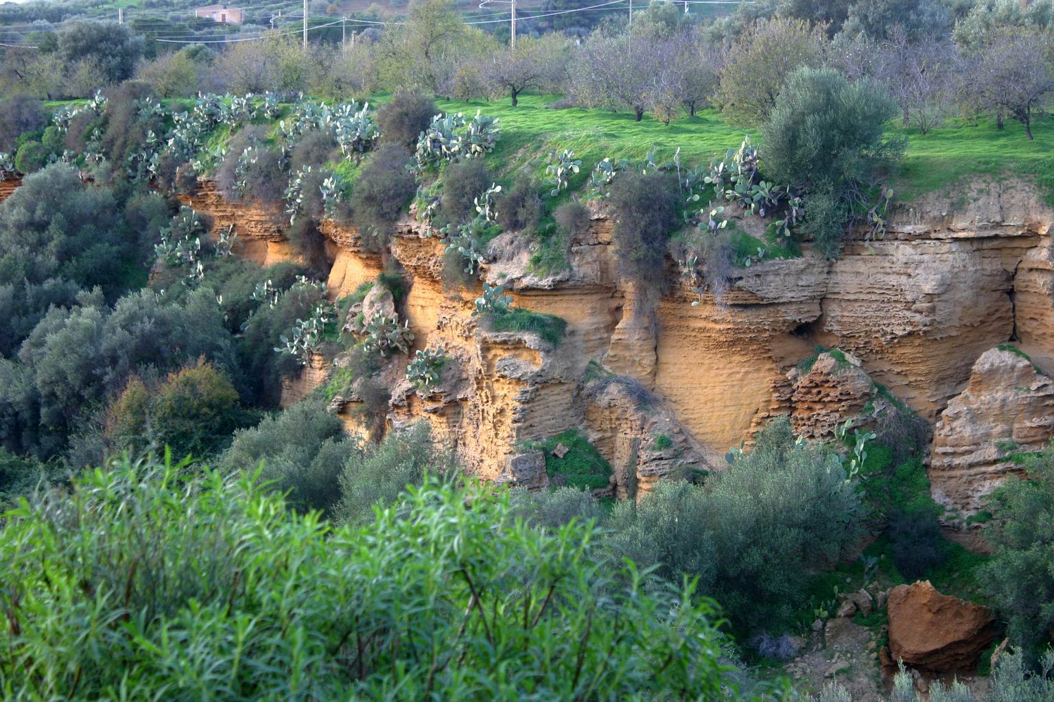 garden-of-kolymbetra-agrigento_Private_Guided_Tour.JPG
