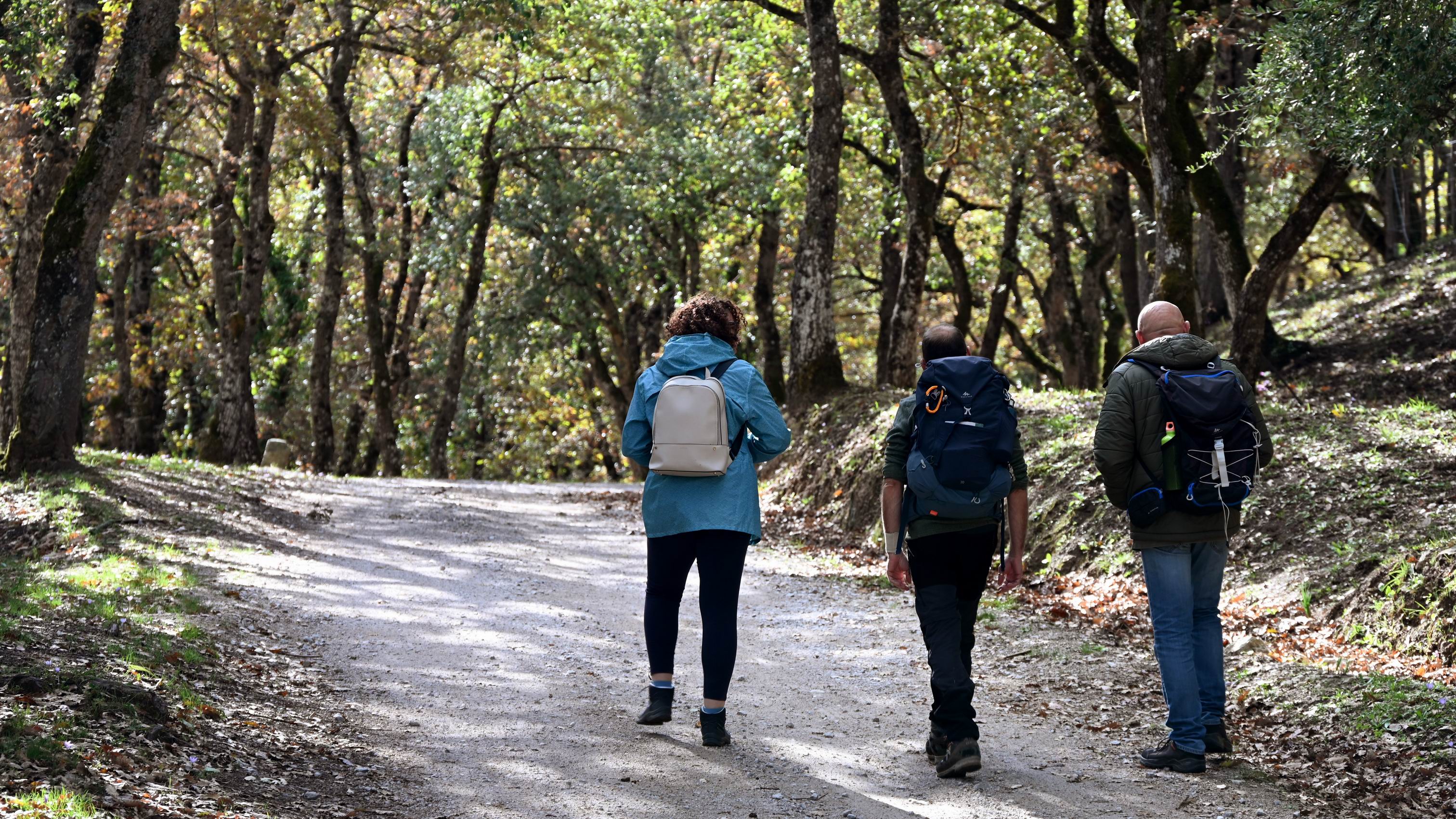 Bosco_Ficuzza_Private_trekking_Tour.JPG