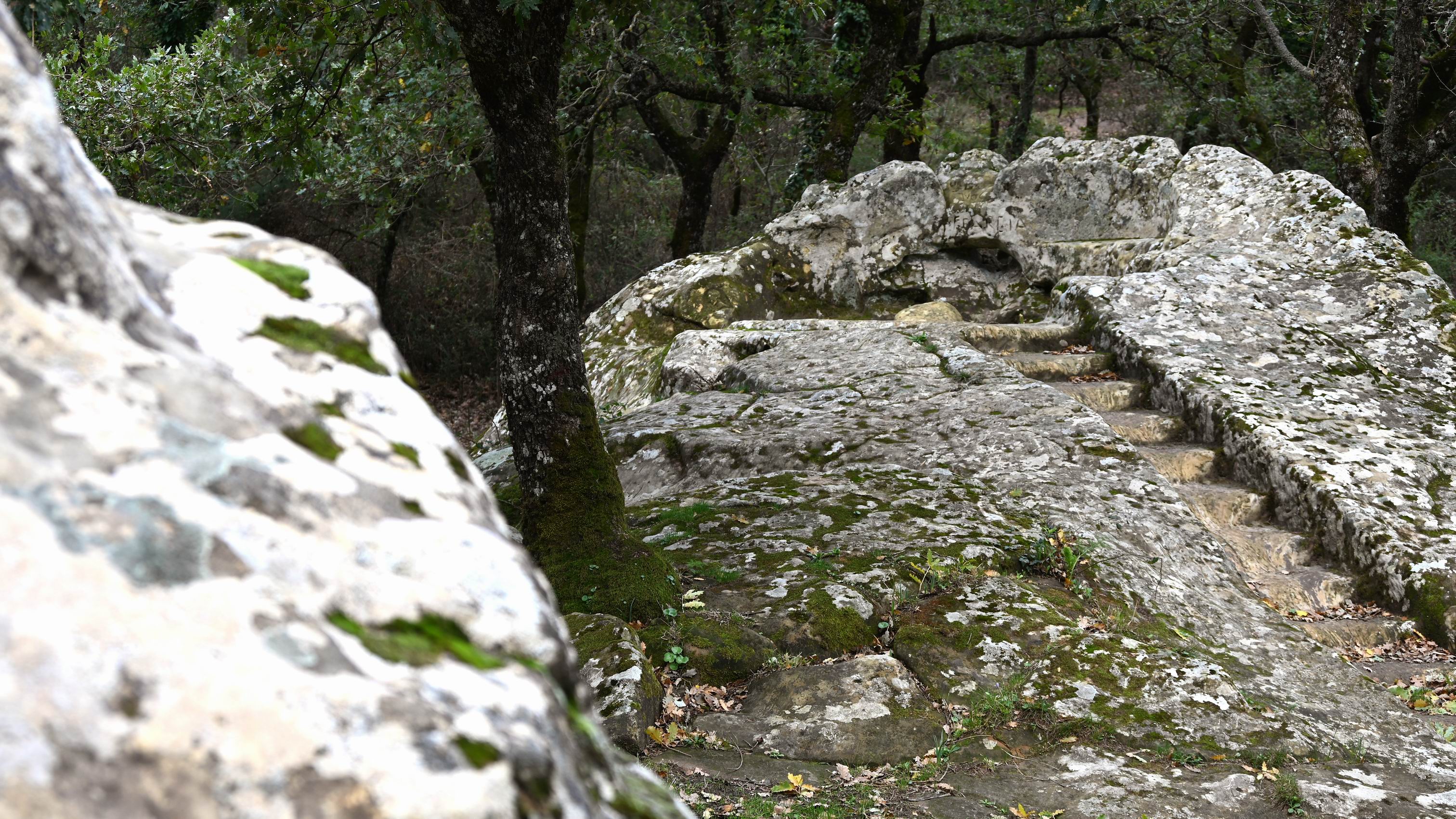 Pulpito_re_Ficuzza_Private_guided_tour.JPG