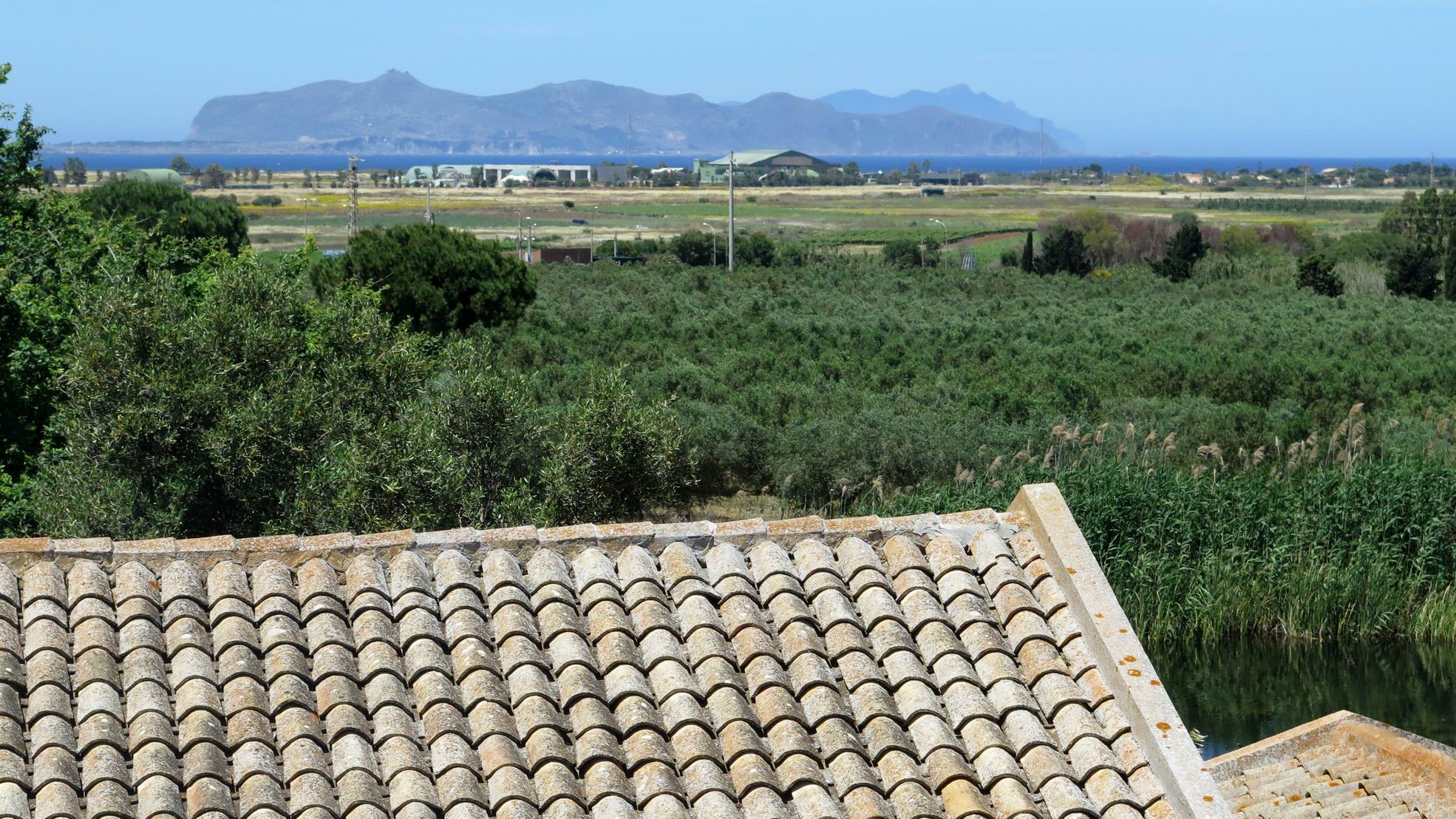 Trapani_Private_Olive_oil_tour_with_Tasting.JPG