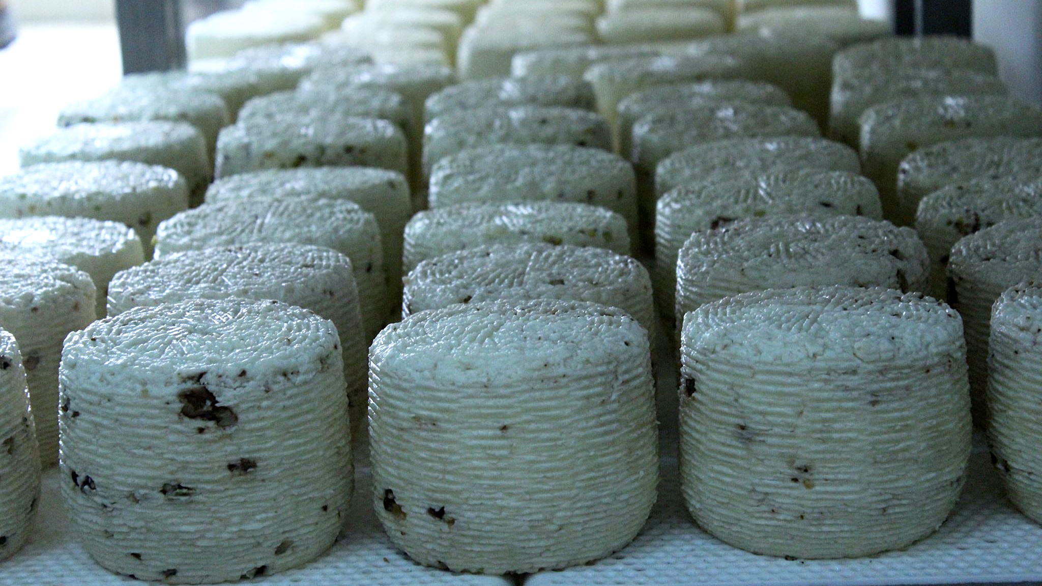 West_Sicily_Pecorino_Cheese_Tour_tasting.jpg