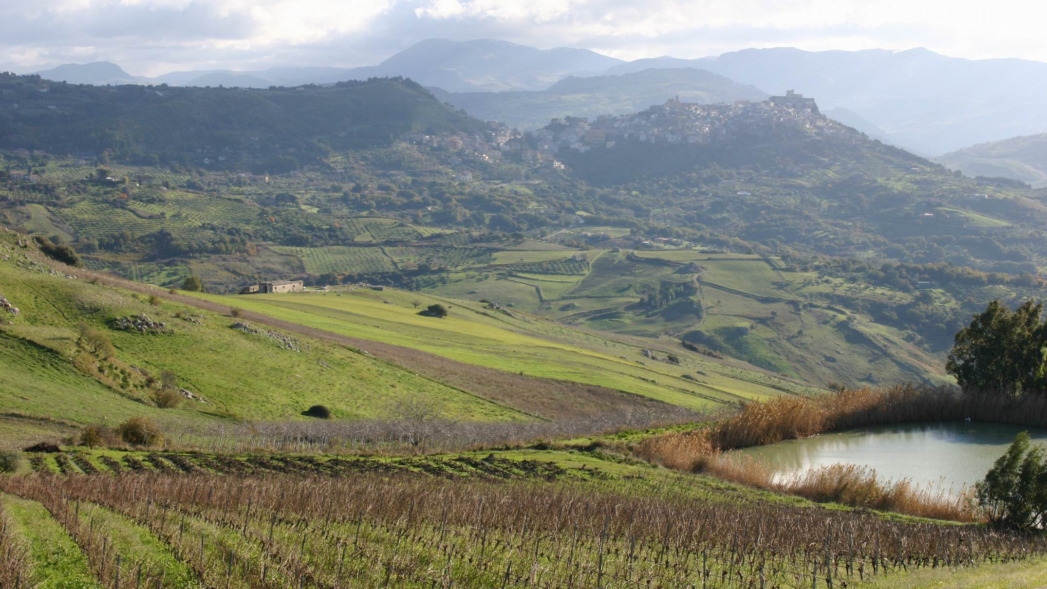 Private_Cheese_Wine_Tour_from_Sciacca_Selinunte_Castelvetrano.JPG