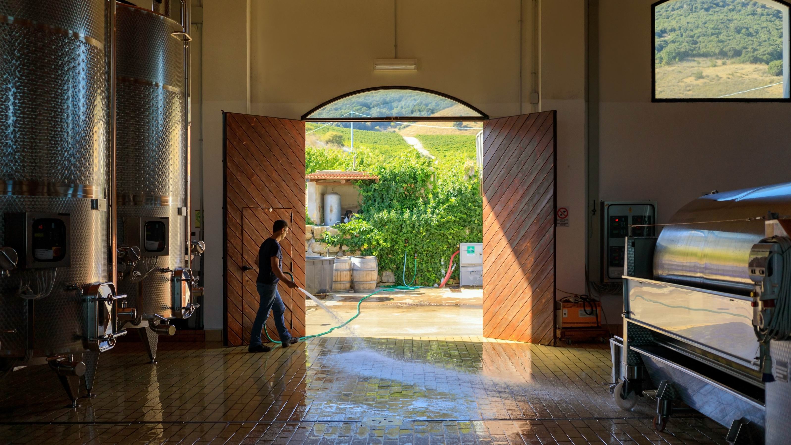 Private_visit_to_winery_Agrigento-Sciacca.jpg