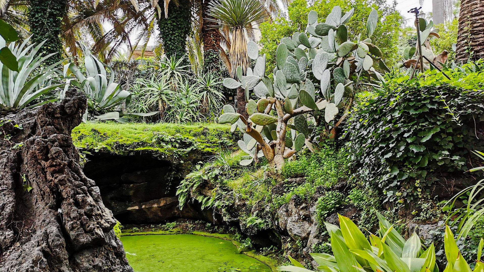 Etna_Private_Historic_Garden_Tour.jpg