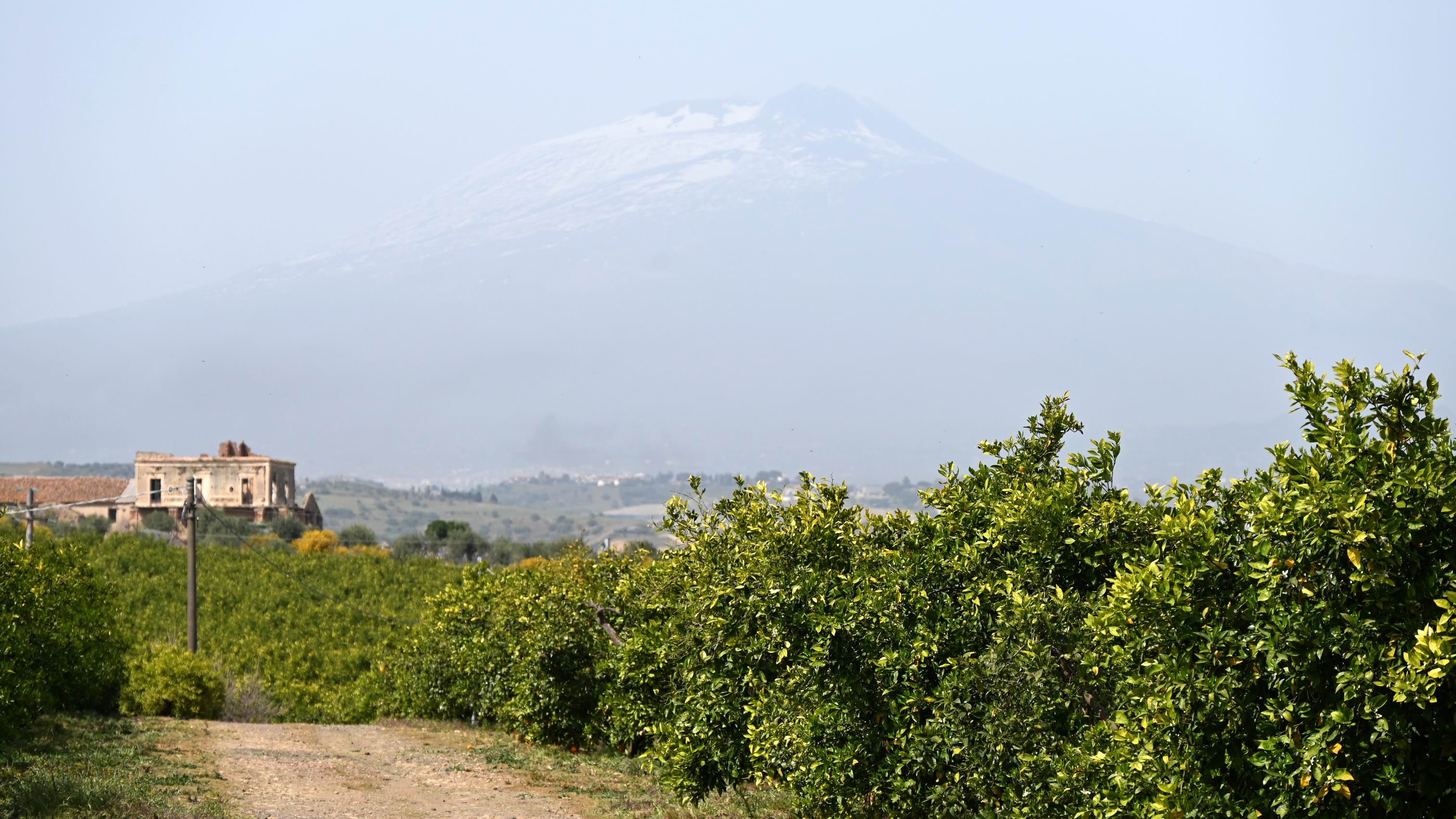 Catania_Orange_Farm_Visit.JPG