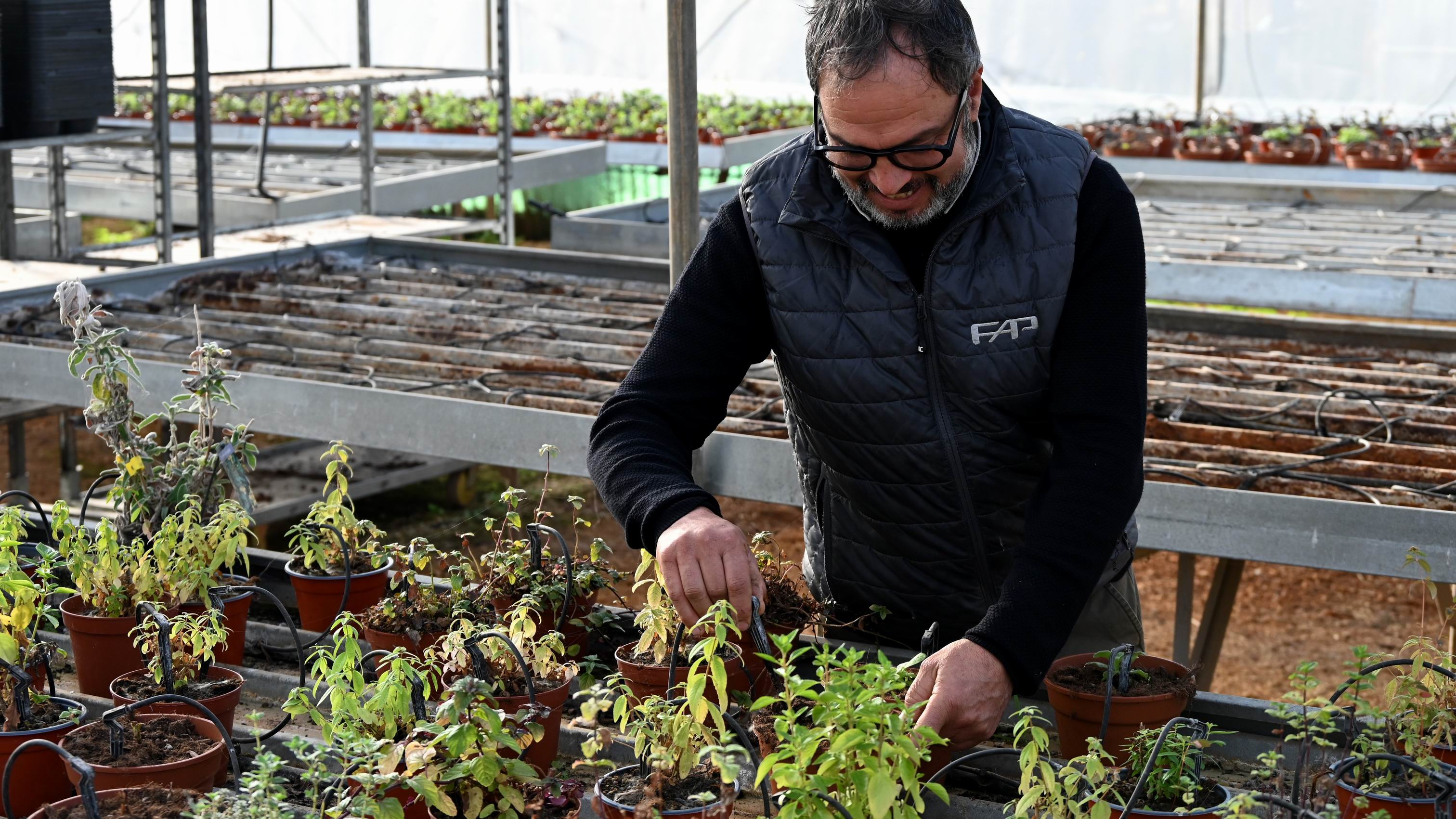 Agrigento_Herb_Farm_Tour.JPG