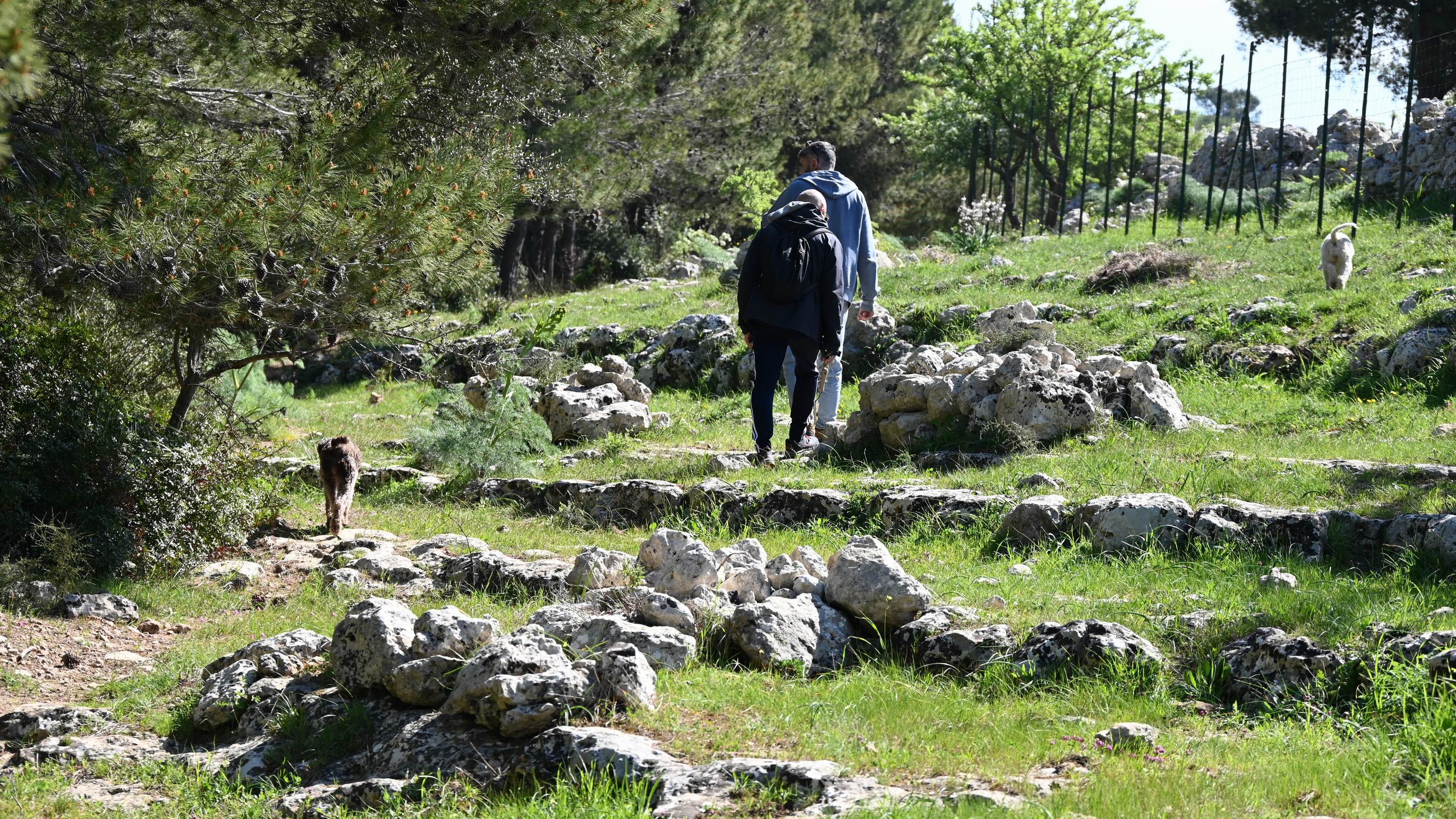 Authentic_Truffle_Hunting_Experience_Sicily_Noto.JPG