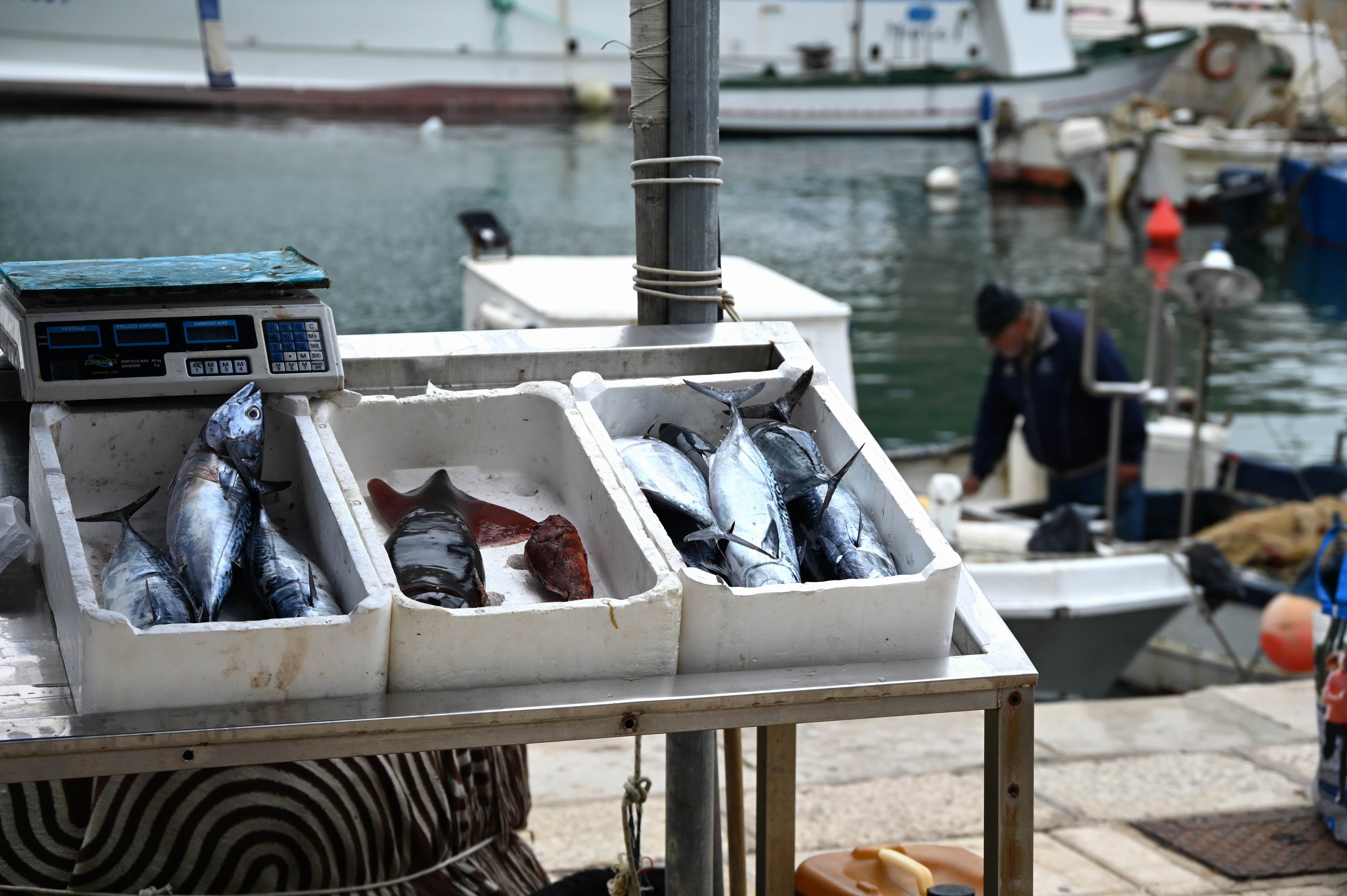 traditional-sicilian-seafood-tour_experience.JPG