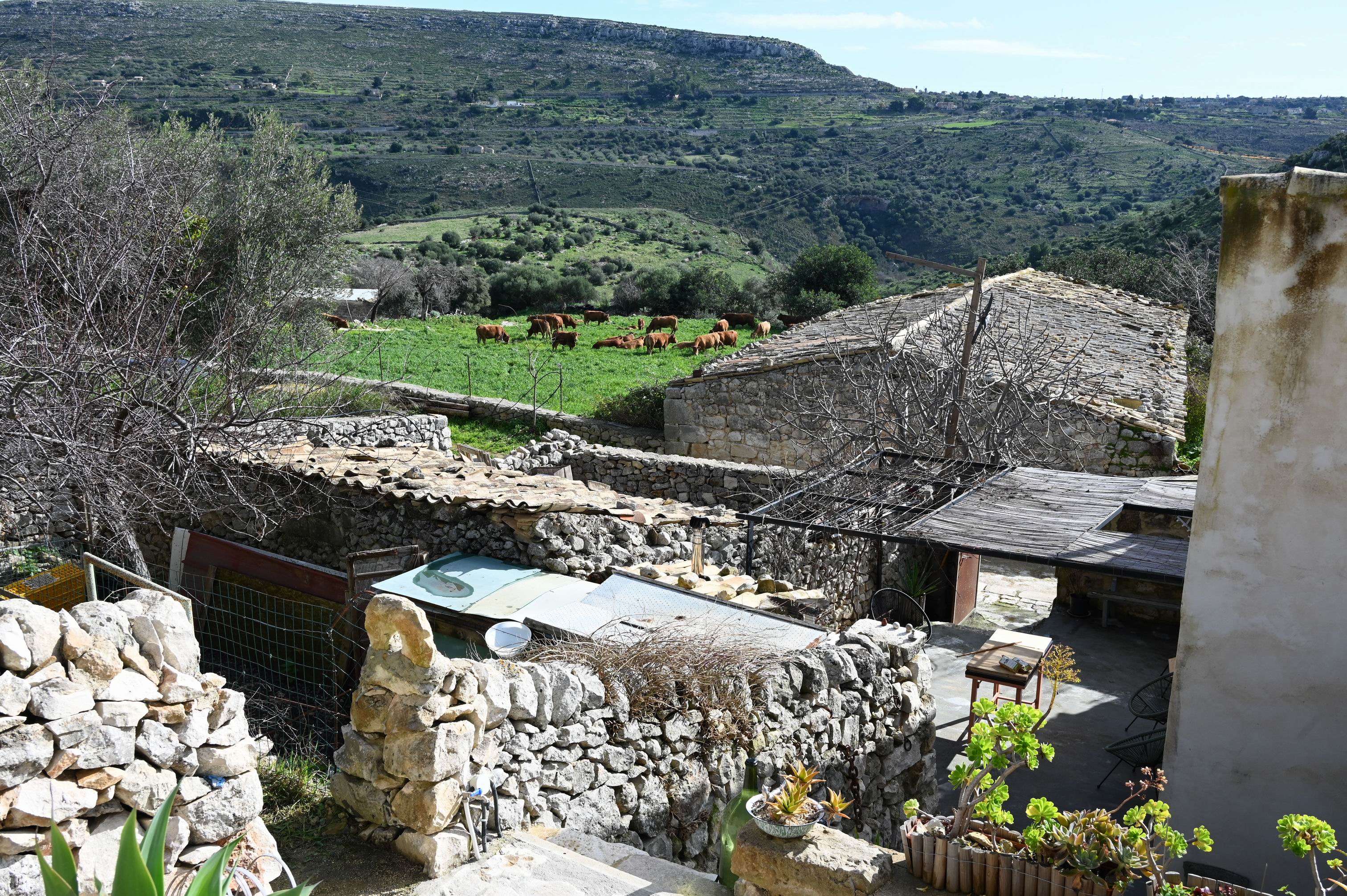 authentic-sicilian-food-journey-ragusa-countryside.JPG
