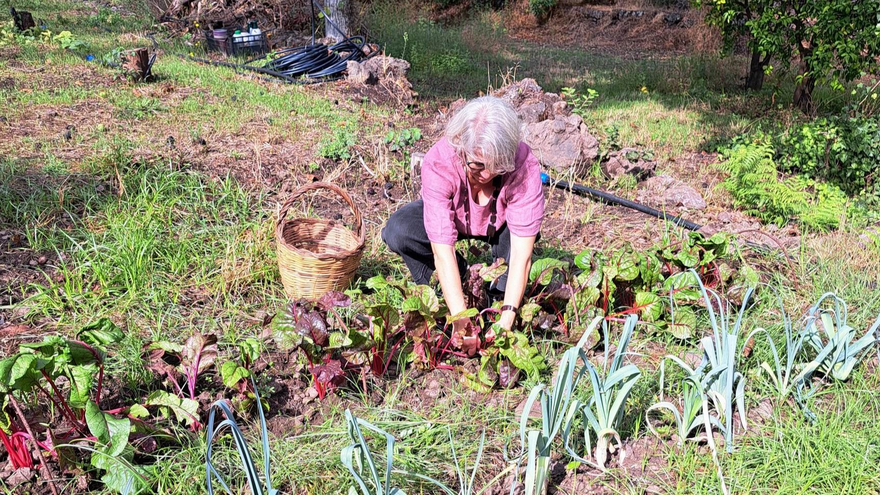 farm-to-fork-fresh-ingredients-cooking-etna-sicily-experience.jpg