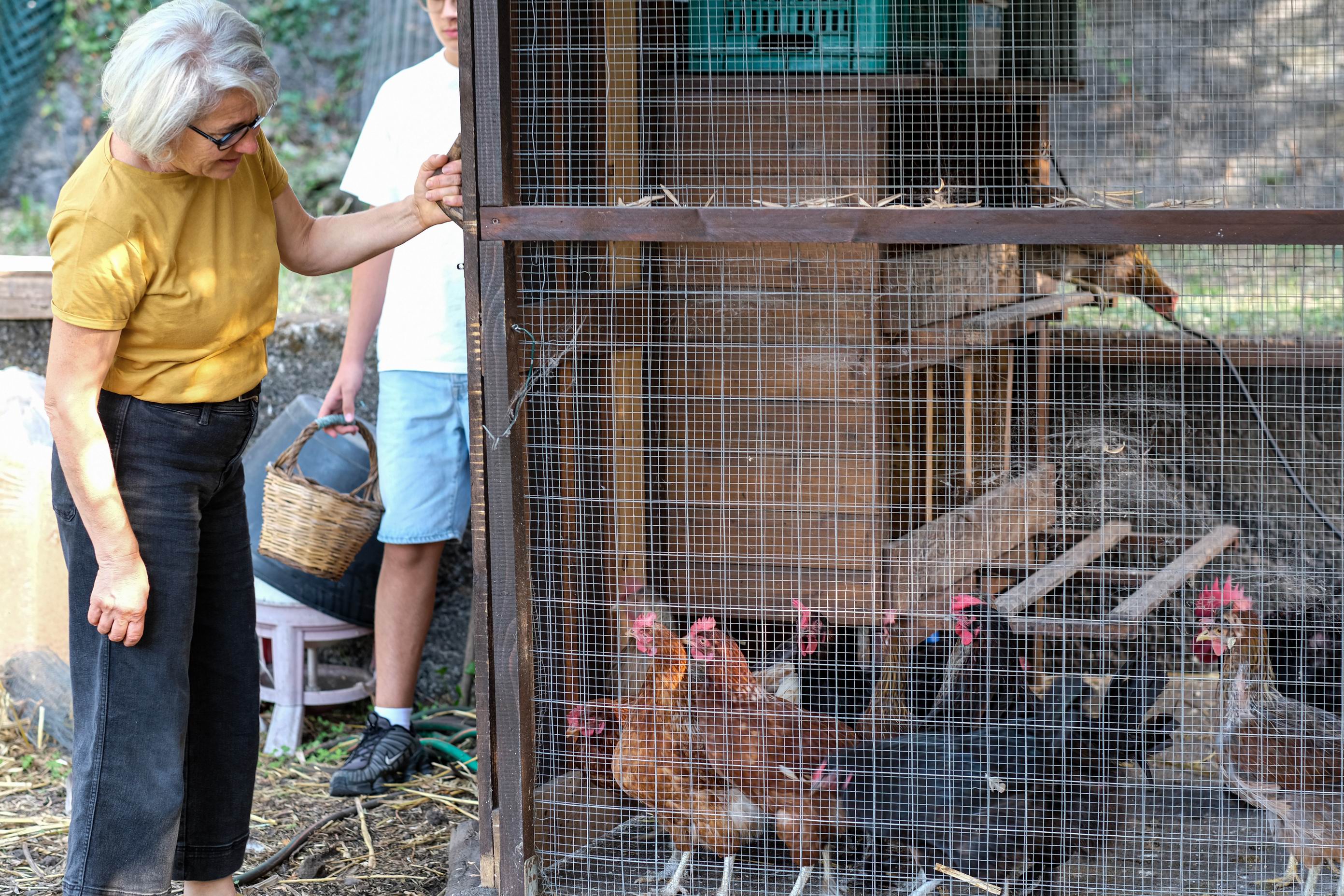 hands-on-educational-farm-to-table-tour-etna.JPG
