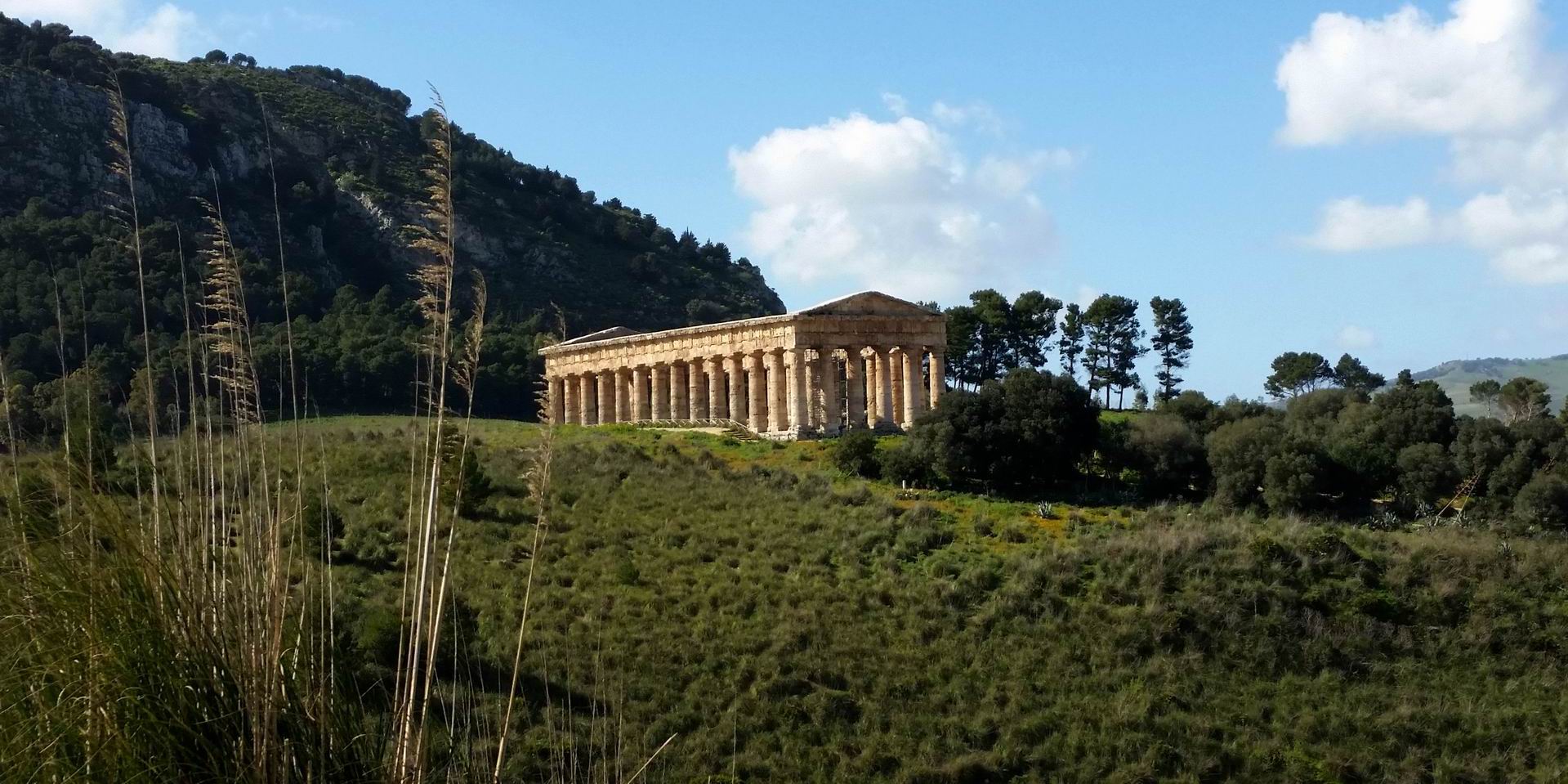 Segesta_Temple_Private_Tour.jpg