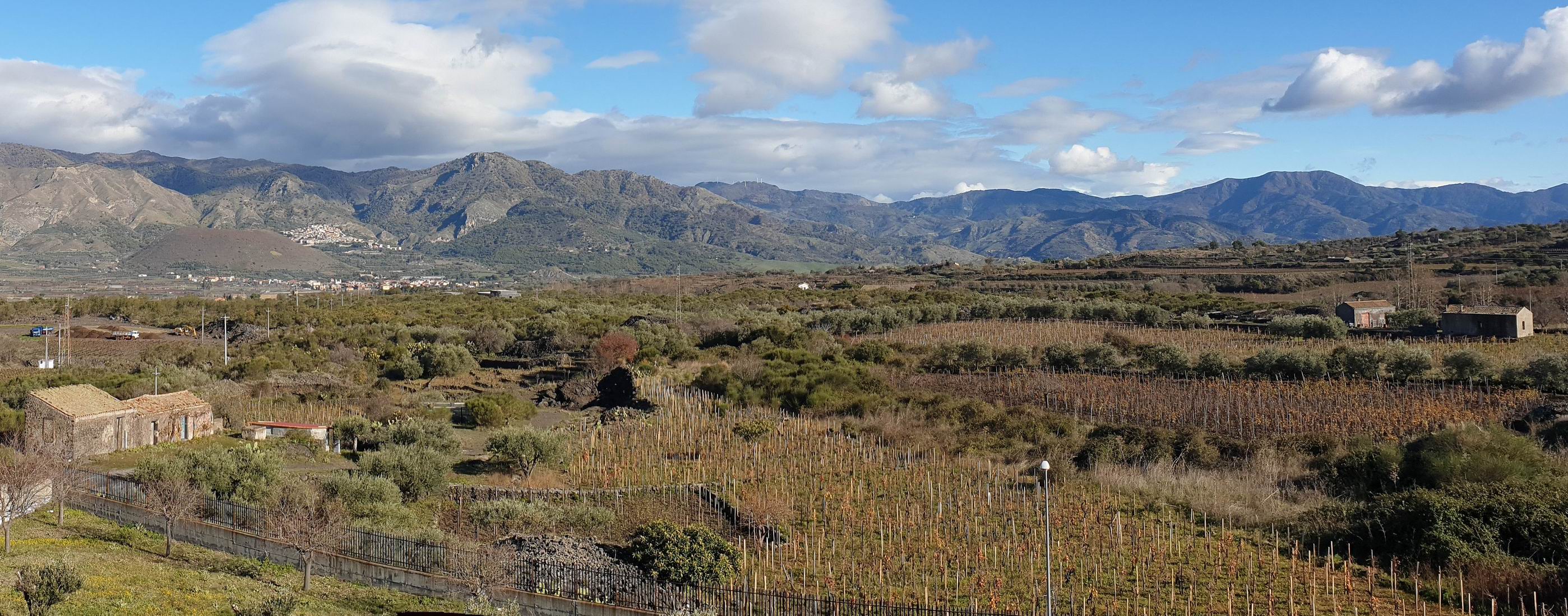 Etna_Wine_Tour_with_Guide.jpg