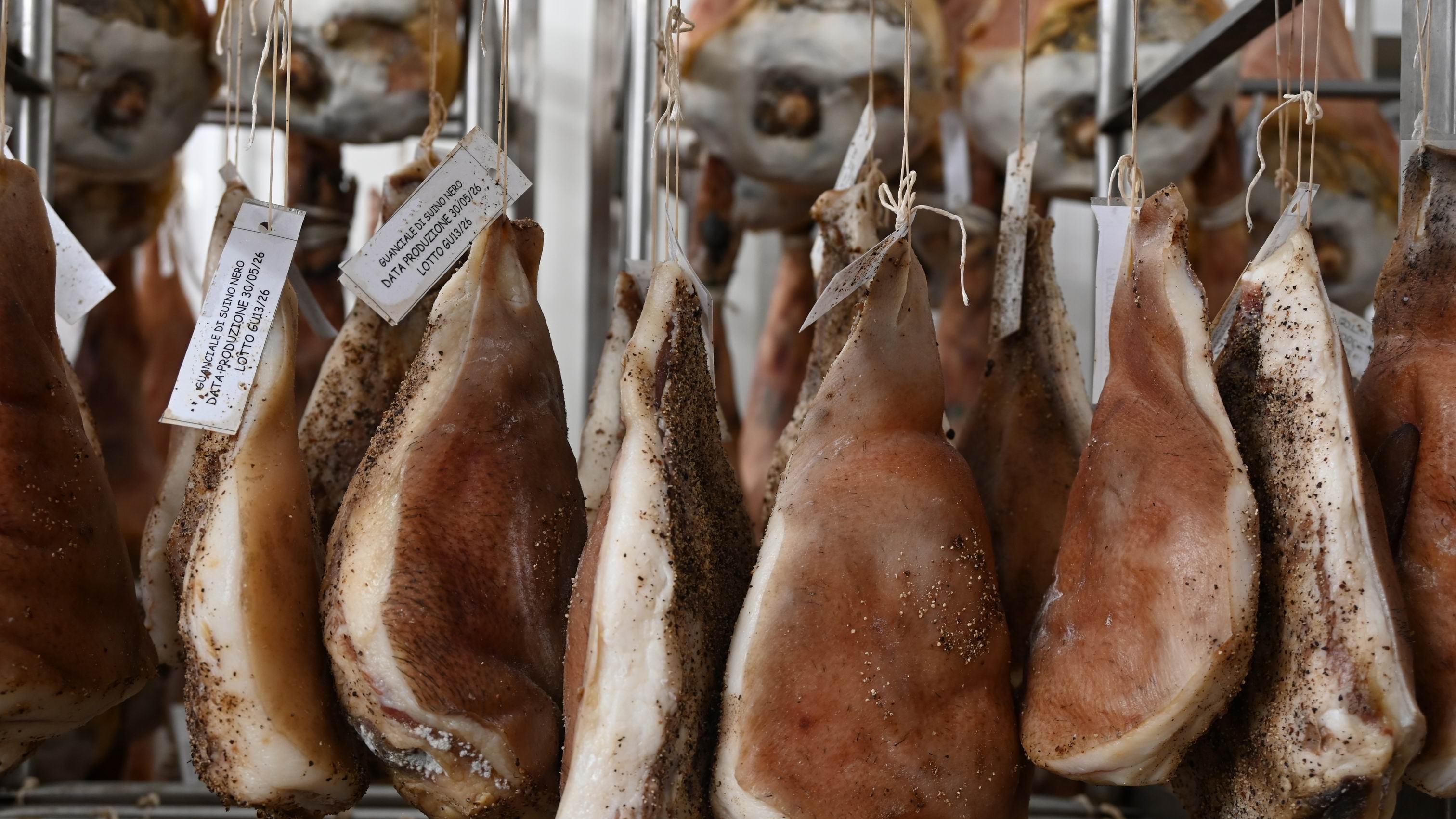 private-tasting-black-pig-slow-food-sicily.JPG