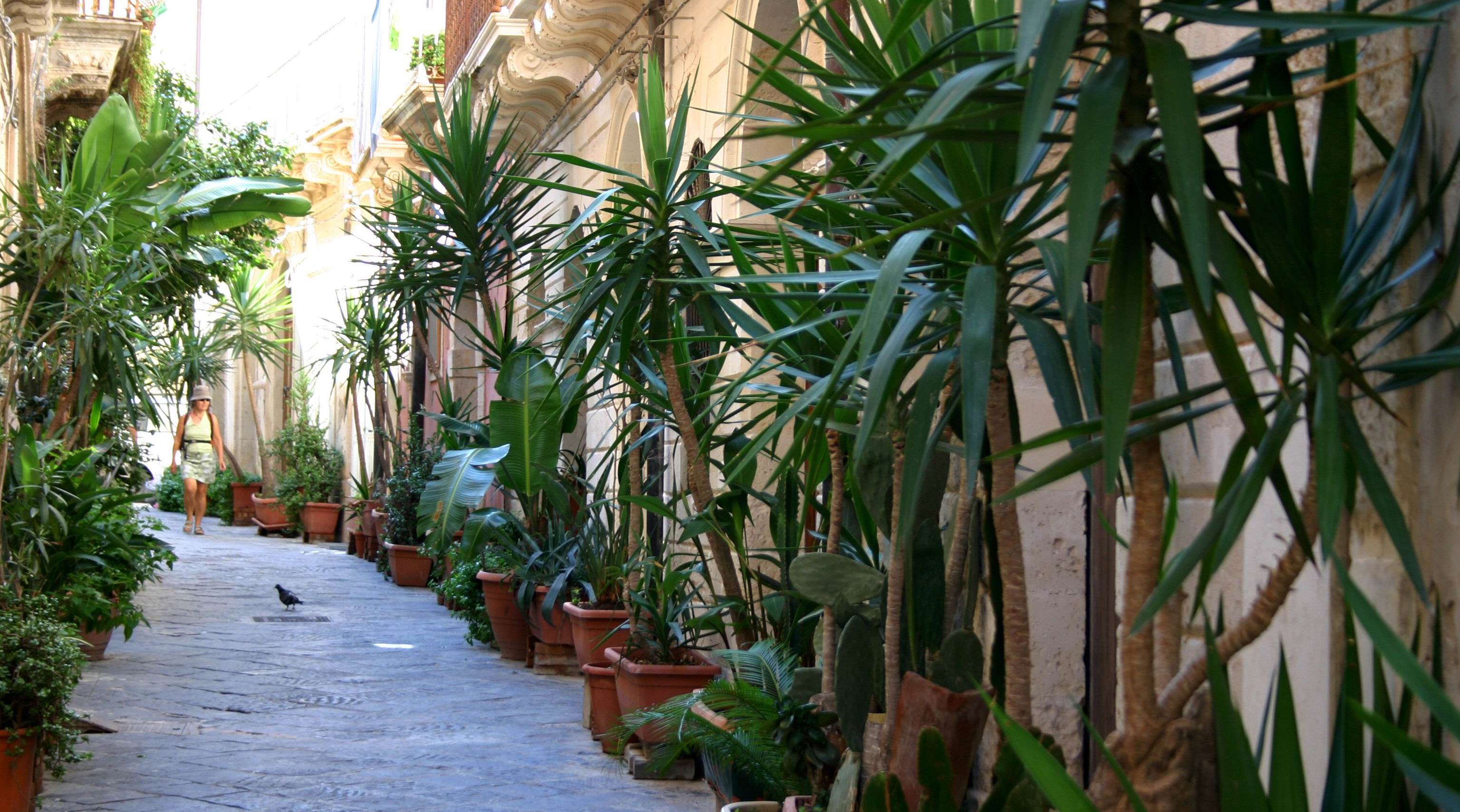 Siracusa_Jewish_Quarter_Tour.JPG