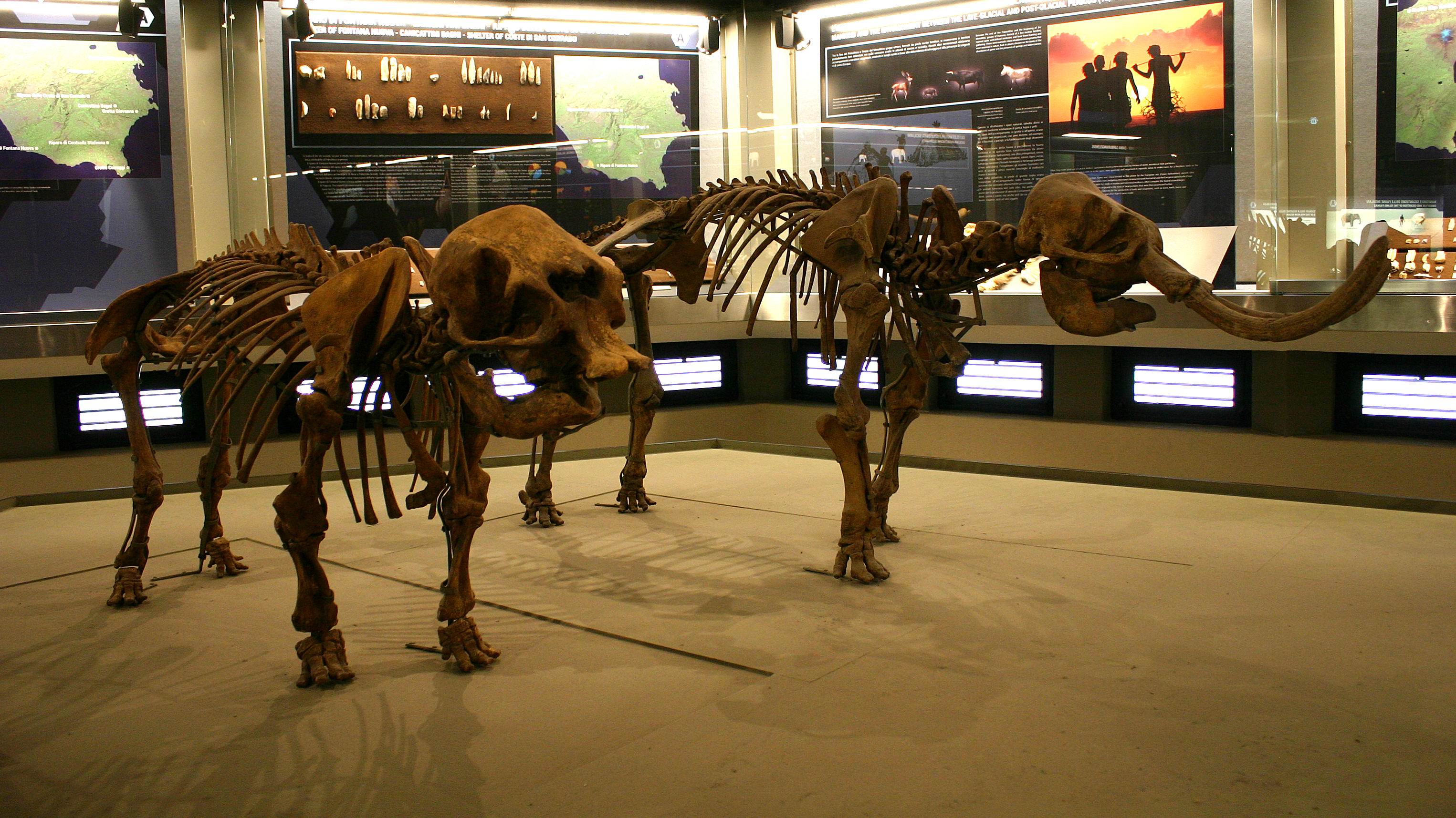 Archaeological_Museum_Siracusa.JPG