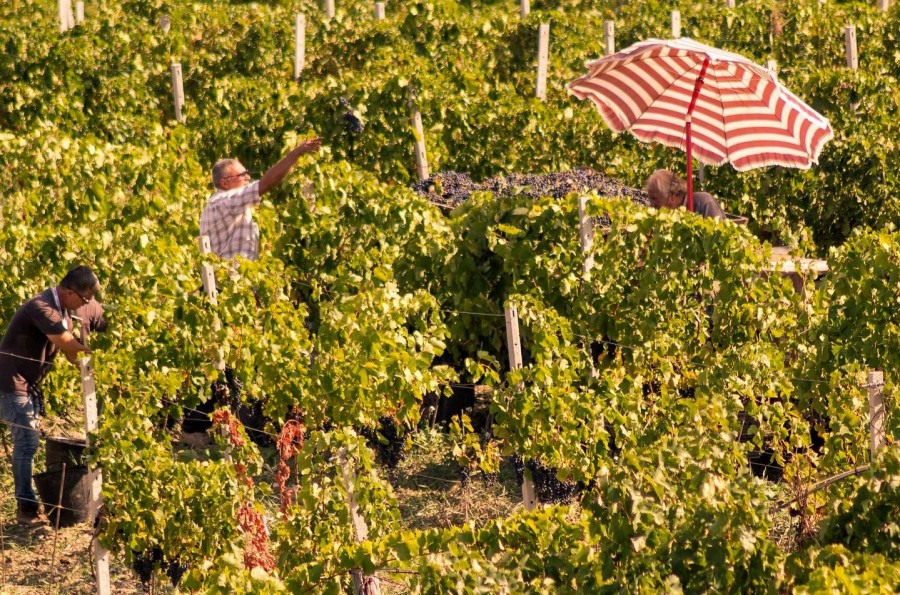 Storie e sapori dell’Agrigentino, terrazza unica sul Mediterraneo