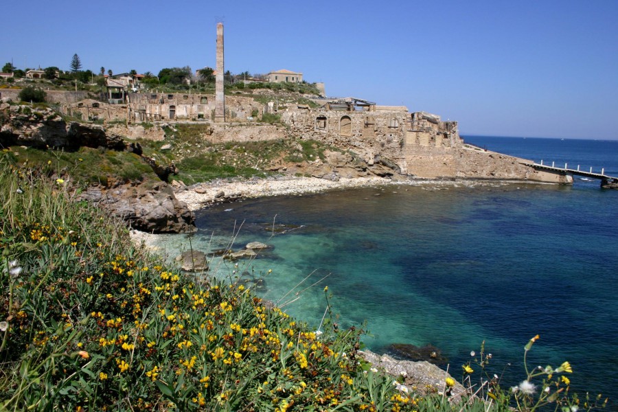 Along the tuna routes