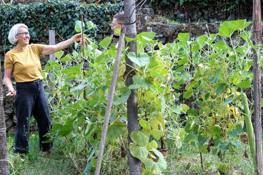 Pick, Cook, Share: A Day on Mount Etna with Valeria e Mauro