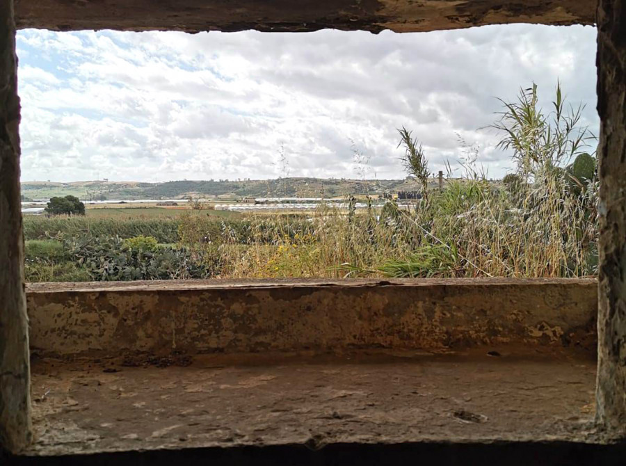 Operation Husky. The Allied Invasion of Sicily between Gela and Licata