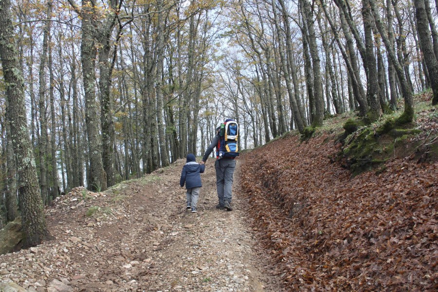 Nature walk with children in the Nebrodi Park