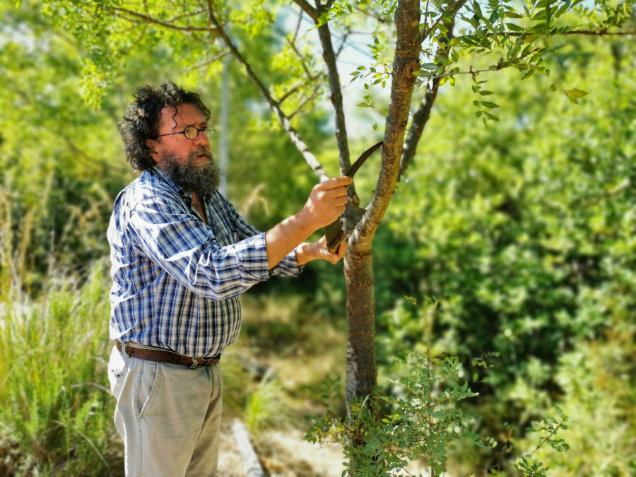 From Geraci to Pollina, along the scenic route of cheese and manna