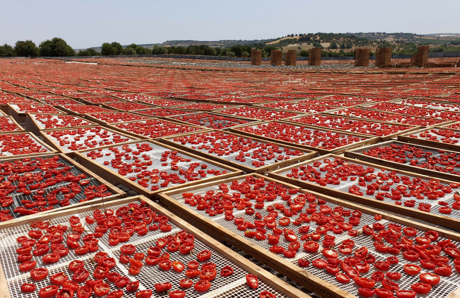 The red colors of the countryside of Pachino