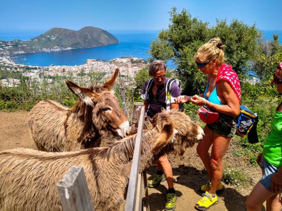 Inside Lipari: the unknown side of the island and its people