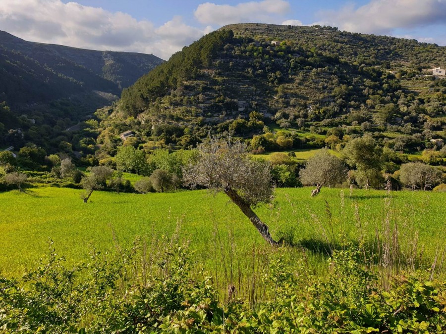 La montagna all&#039;incontrario. Trekking a Cava Misericordia