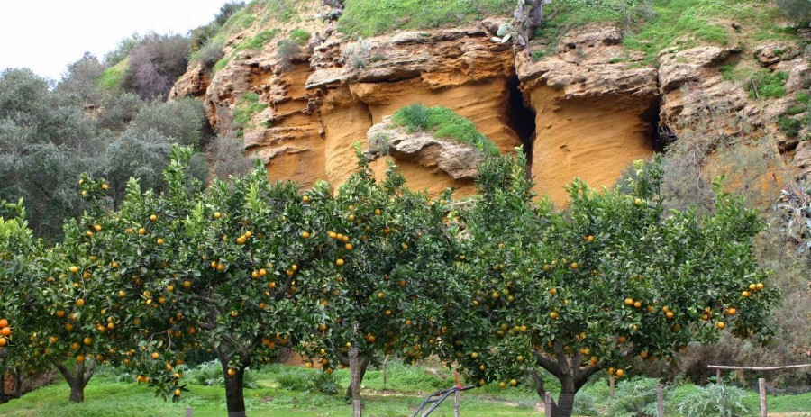 Valley of the Temples and Kolymbethra Garden