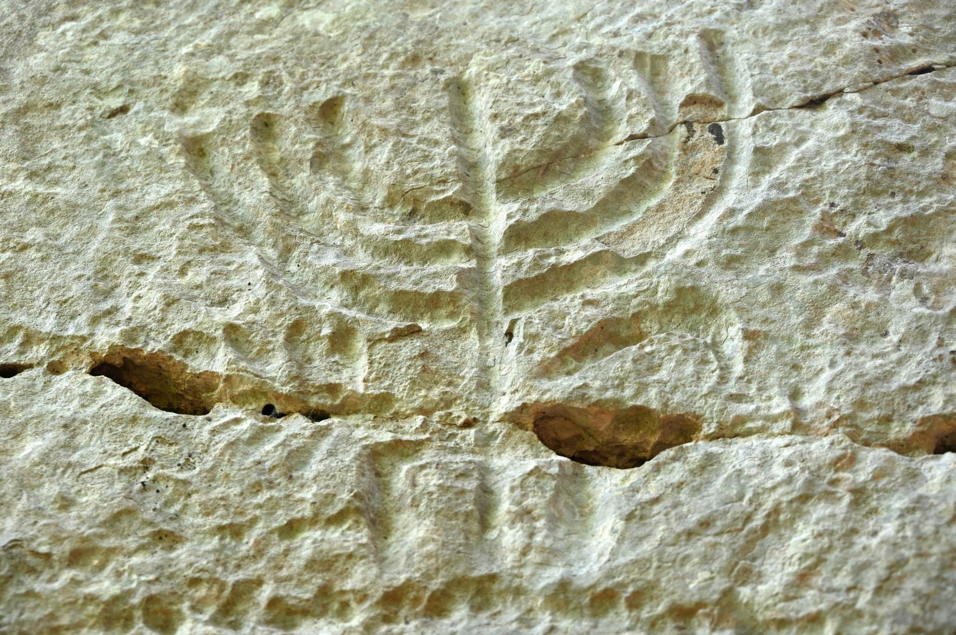 Jewish Sicily: A Thousand-Year Journey Through Symbols, Stones, and Memory
