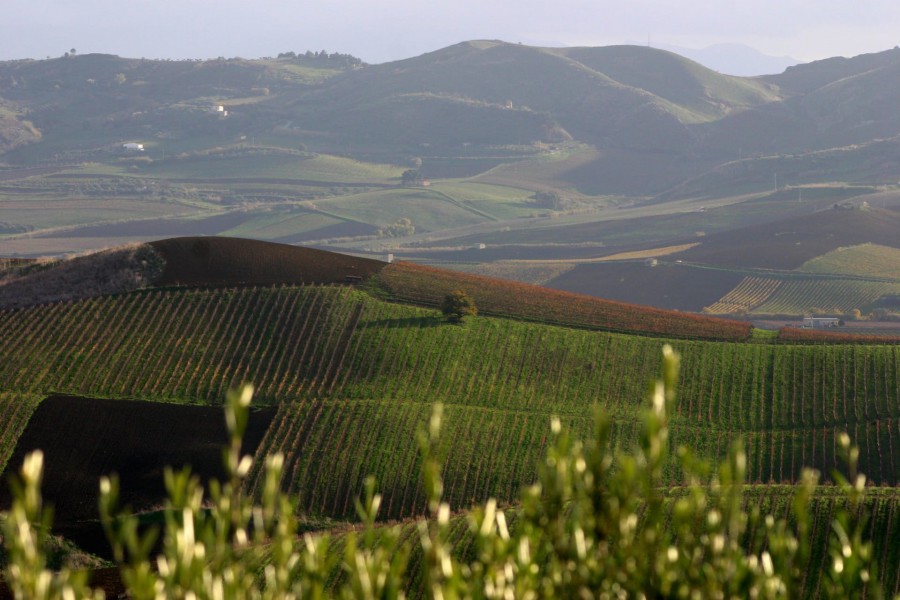 Tour nella Valle dello Jato tra sapori e tradizioni